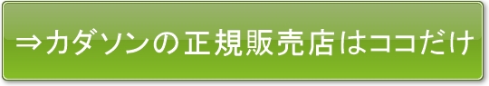 カダソン公式