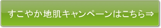 すこやか地肌シャンプー　公式