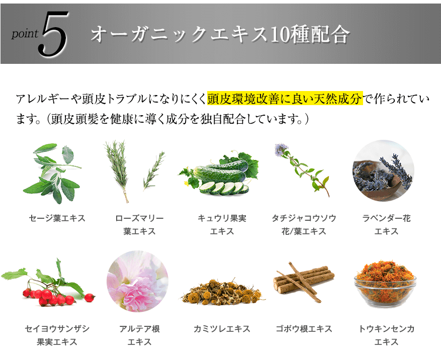 チャップアップシャンプーのオーガニック植物成分
