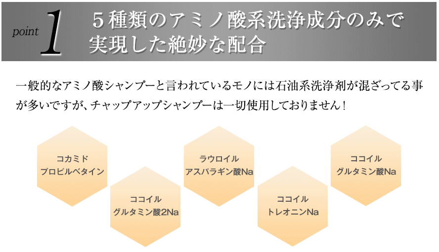 チャップアップシャンプーのアミノ酸洗浄成分