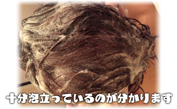 ハーブガーデンシャンプー泡立ち