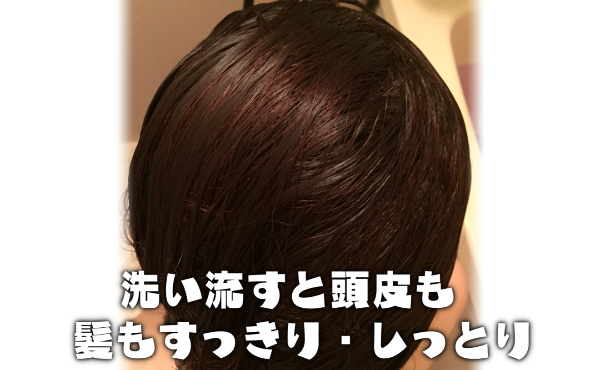 ハーブガーデンシャンプー洗い流す