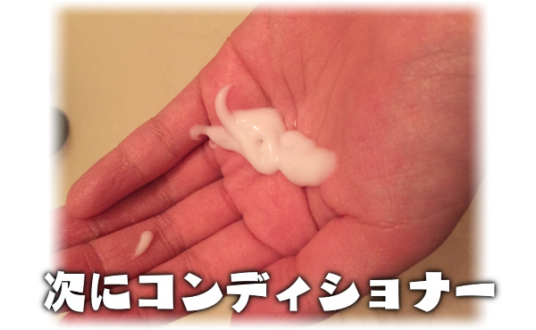 ハーブガーデンコンディショナー