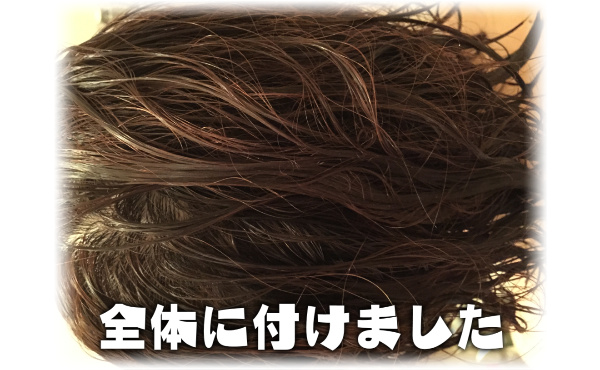 ハーブガーデンコンディショナーつける