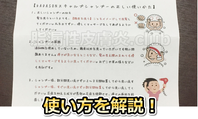 カダソン使い方