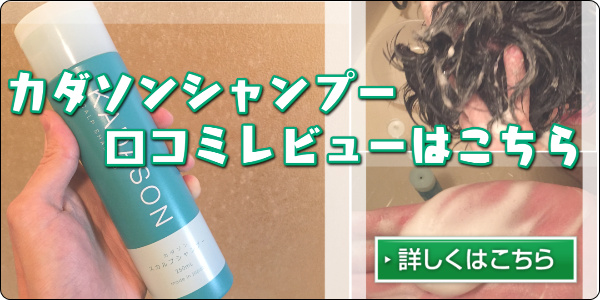 カダソンのレビュー