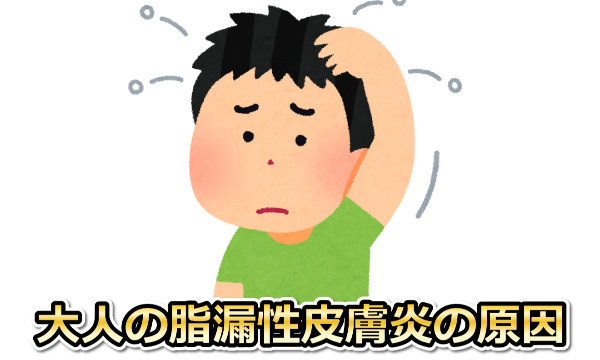 大人の脂漏性皮膚炎の原因